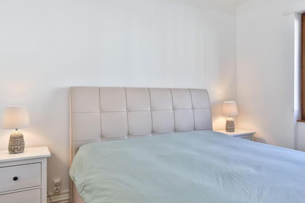 Suite Tres Moderne Et Cosy, Proche Centre-Ville, Mulhouse Centre Dış mekan fotoğraf